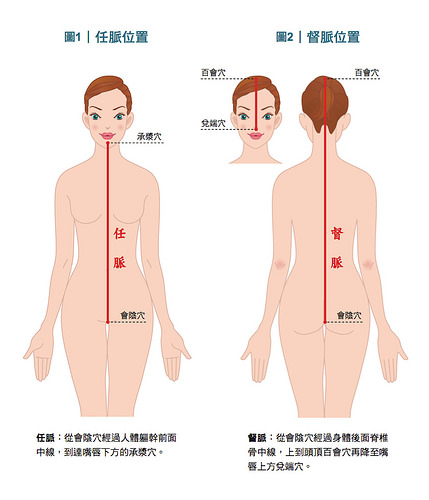 经脉,经络