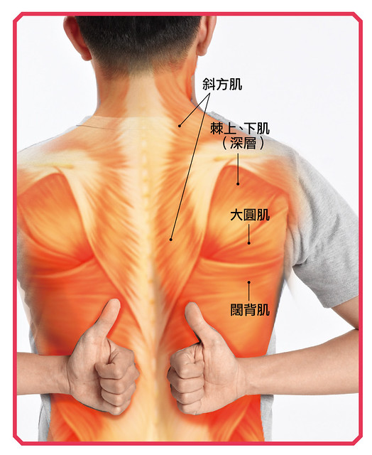 上背痠痛、肩胛肌发炎：按摩上背肌