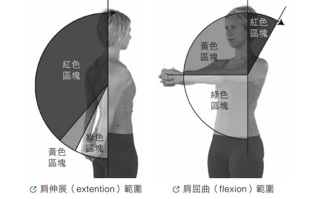 肩伸展（extention）範围、肩屈曲（flexion）範围