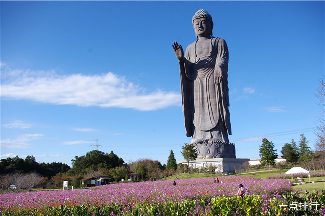 日本牛久大佛