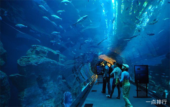 迪拜购物中心水族馆