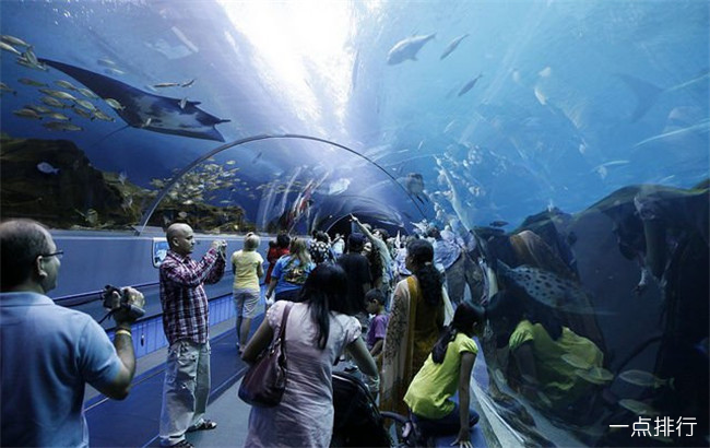 亚特兰大乔治亚水族馆