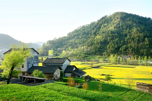 驻村干部