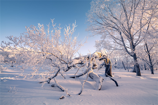 下雪-摄图网