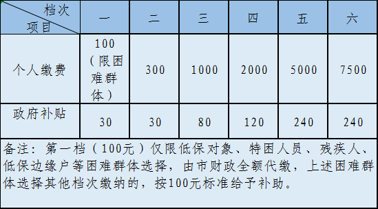 2022年度东阳城乡居民基本养老保险缴费有几个档次？