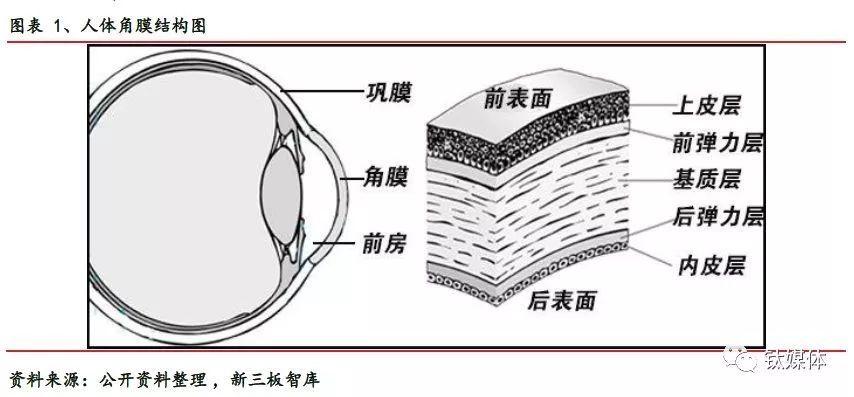 首个3D打印人工角膜问世