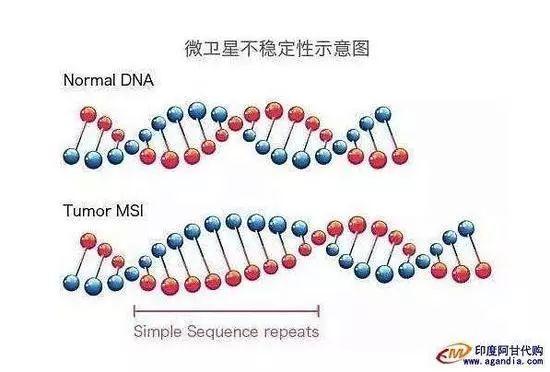 2018诺贝尔生理学或医学奖揭晓