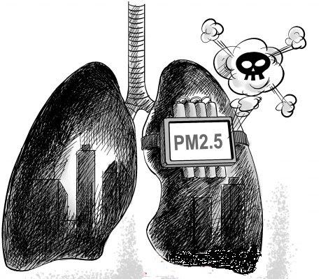 WHO首次认定PM2.5致癌