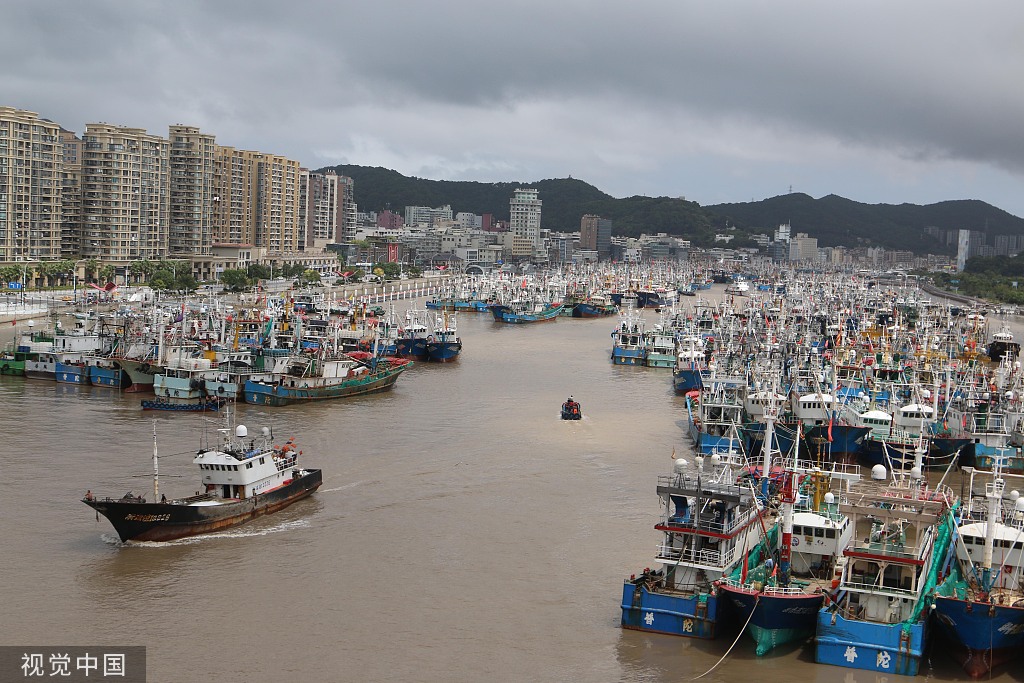 2022年9月3日，浙江舟山，渔船纷纷回到普陀区沈家门渔港，躲避今年第11号台风“轩岚诺”。人民视觉 图