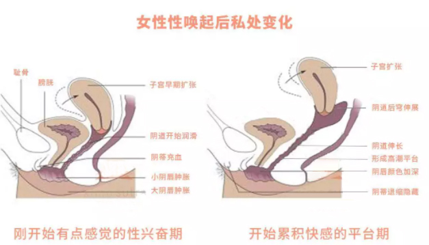 个子矮下面是不是浅