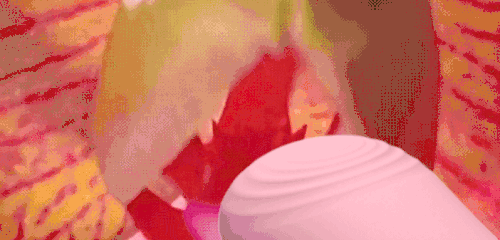女生单身是怎么解决生理问题的