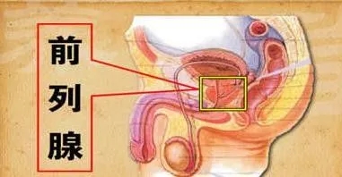 前列腺按摩可以改善性功能吗