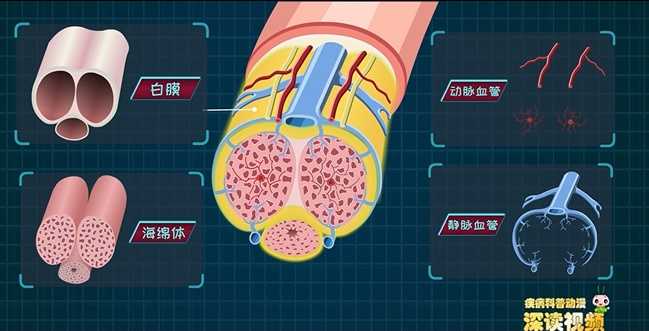 增大膏骗局为什么没人查