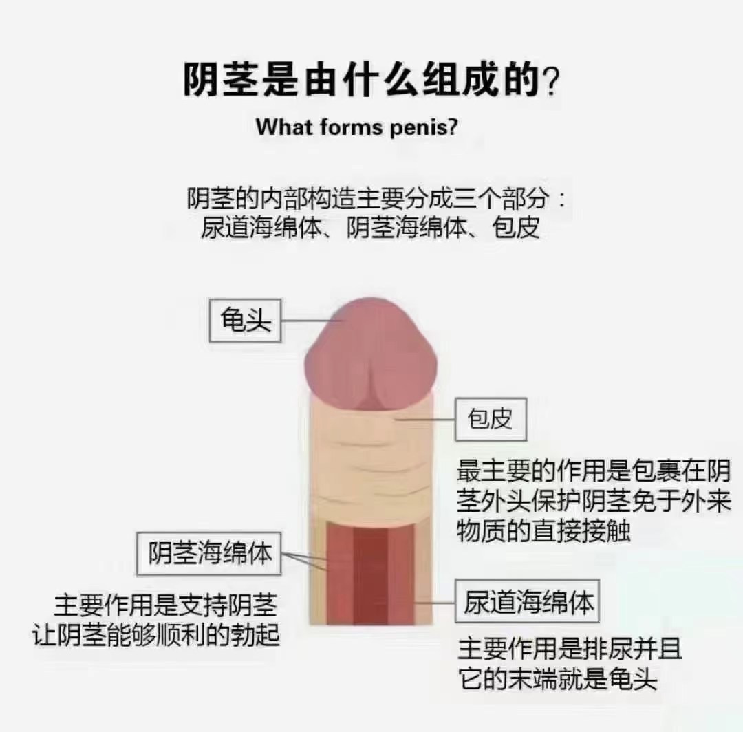 小弟弟总是滑出来怎么办