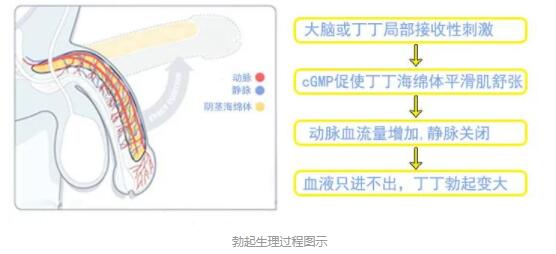 飞机打多了硬度不够怎么调理