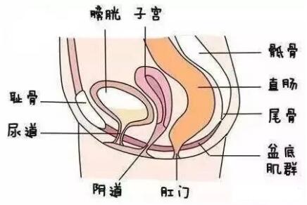 怎样判断是吹了还是尿了