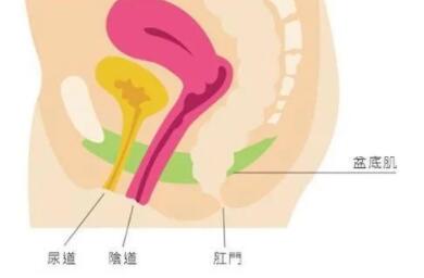 为什么做的时候想小便