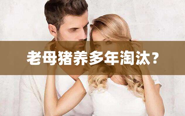 老母猪养多年淘汰？