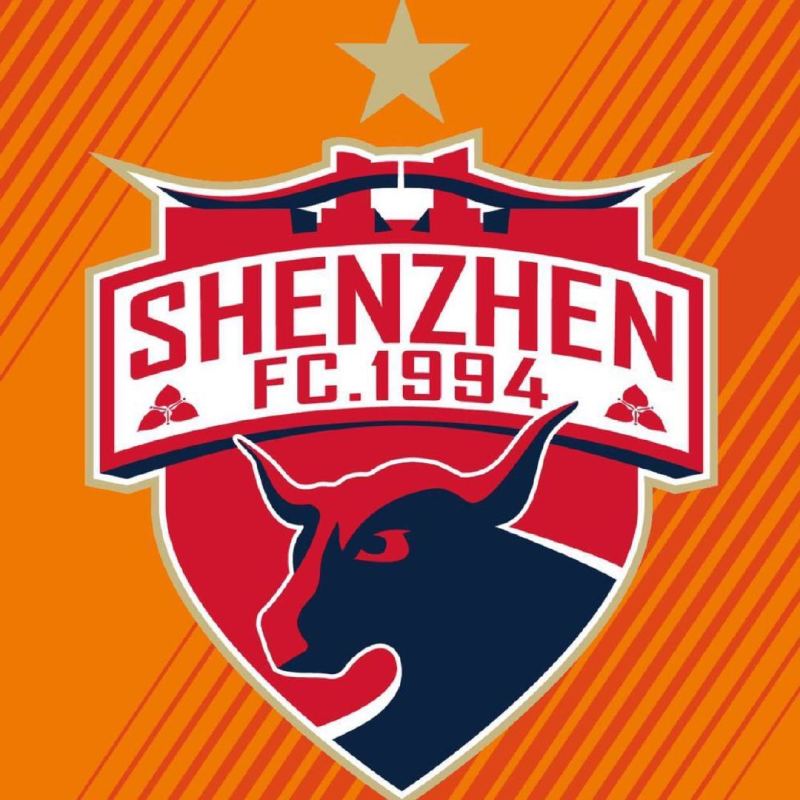 深圳队足球主教练 深圳足球小将