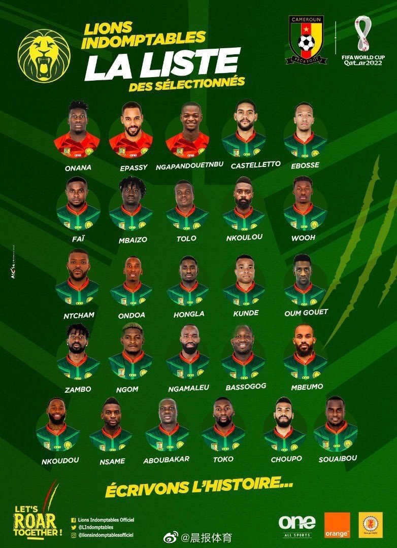 申花引进巴索戈 巴索科 申花