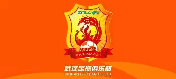 前武汉长江球员讨薪:去年整年未发工资,今年仅补发四个月